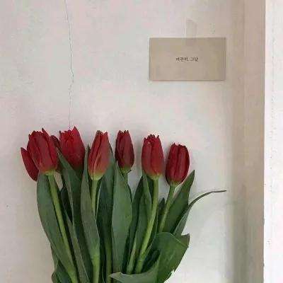 自由意志手游下载