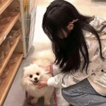 混沌战争2游戏下载